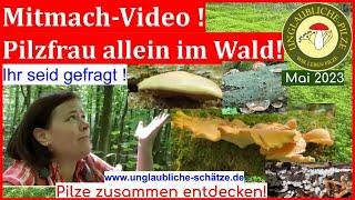 Pilzfrau allein im Wald - Pilzquiz & Mitmach video! Ihr seid gefragt! Was macht der Hauswald?