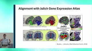 8th BigBrain Workshop 2024: Michael Hawrylycz - The BRAIN Initiative Cell Atlas Network...