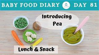 Baby Food | Baby Food Diary | Day 81 | Baby Food Pea Puree | Baby Lunch + Baby Snack Recipe | 8m+