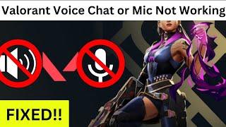 How To Fix Valorant Voice Chat or Mic Not Working on Windows