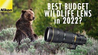 Wildlife from Yellowstone - NIKON 200-400mm f4 VRII on Z6II - Review