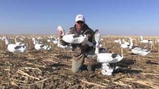 White Rock Headed Snow Goose Decoys- Product Feature