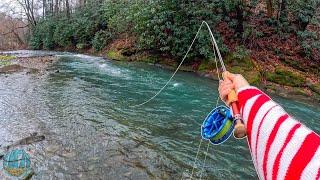 Streamer Fly Fishing for Big Trout! (Winter Trout Fishing)