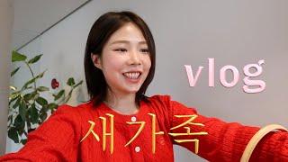 VLOG:: 저의 새가족을 소개합니다˚₊·—̳͟͞͞