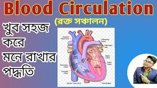 Blood Circulation In The Heart In Bangla