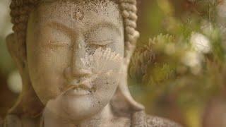 You Are Silence Itself ~ Guided Meditation with Sri Mooji