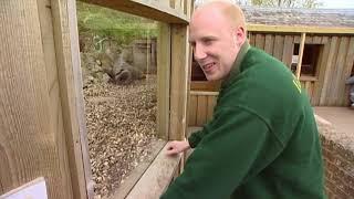 Animal Park: Season 6 Episode 15 (Wildlife Documentary) | Full Documentary