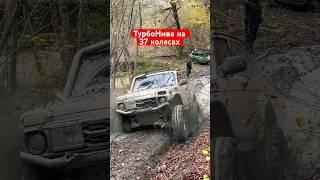 Тестовые выезд на новой резине JOURNEY DIGGER 37*11.6/r16 #skrdoffroad #offroad #4х4 #турбонива