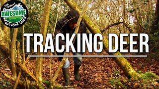 How to Track and Stalk wild Deer | TA Outdoors