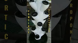 Vertical hydroponics технологии садоводства