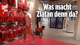 Einfach göttlich! Zlatan demütigt Mega-Streamer | EM-News