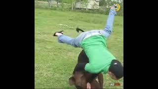 TOP MOMENTS HORSES vs MAN  - KICKING PEOPLE- ANGRY HORSES COMPILATION