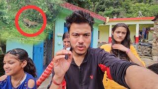 आज पहली बार बाघ देखा और सब डर गये || Namaste Pahad Vlogs || Ashutosh Negi