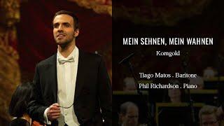 Tiago Matos  -  Mein Sehnen, Mein Wähnen at Palais Garnier