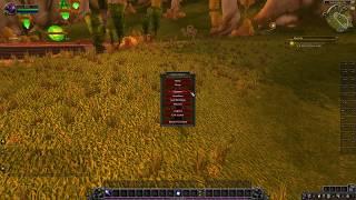 How to make your default UI smaller or bigger / UI Scaling - World of Warcraft