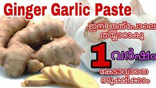 Ginger garlic paste for  storage| Home made Ginger garlic paste |ginger garlic paste malayalam