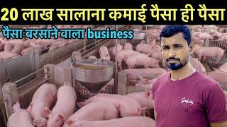 Biggest pig farm in India॥Pig farming for beginners॥Pig farming