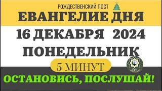 16 ДЕКАБРЯ ПОНЕДЕЛЬНИК ЕВАНГЕЛИЕ ДНЯ 5 МИНУТ АПОСТОЛ МОЛИТВЫ 2024 #евангелие #дня