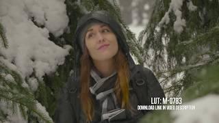 Panasonic GH5 Lumix Cinematic Look with LUT M-0783 download