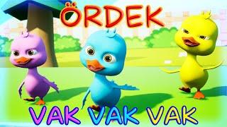 Ördek Vak Vak Vak | Türkçe Bebek Şarkısı Eğitici Çizgi Film Çocuk Şarkıları