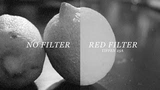 B&W Film w/ Red Filter Comparison