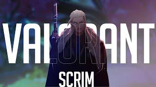 Valorant Scrims Live | Rogue Scrims| Low Rank Scrims|!join