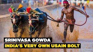 Meet Srinivasa Gowda, Kambala Buffalo Jockey India's Very Own Usain Bolt