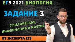 3 задание ЕГЭ | Генетическая информация в клетке | БИОЛОГИЯ ЕГЭ 2021