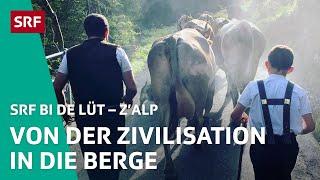 Start der ersten Staffel | Z'Alp – SRF bi de Lüt | 2020 - 1/3 | SRF
