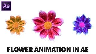 Flower Animation in After Effects - After Effects Tutorial | No Plugins Required - Flower Bloom