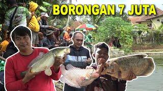 MANCING BORONGAN DI KOLAM KECIL BUKAN BERARTI IKANNYA KECIL KECIL !!