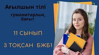 11-сынып қоғамдық-гуманитарлық бағыт Ағылшын 3-тоқсан  БЖБ 1