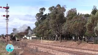 Steam Locomotive NM25 - Quorn - August 2017