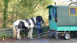 Horse Drawn Traveller in Britain