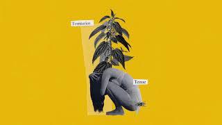 Tenue - Territorios (Full album)