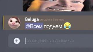 Beluga: когда думаешь что модеры оффлайн...[ru voiced]