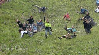 Thrills and spills during Cheese Rolling contest 2024 in the UK