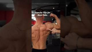 The PERFECT Back Workout (Sets and Reps Included) #shorts #gymworkout #trendingshorts