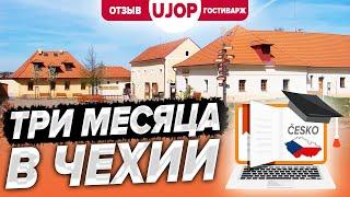 Медик уехал из России, разочаровавшись в профессии. Отзыв о курсах UJOP (ИИЯП)