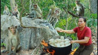 survival in the rainforest-found duck eggs for cook & eat with monkeys