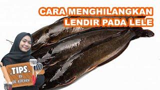 CARA MENGHILANGKAN LENDIR PADA LELE, PASTI BERHASIL!