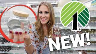  10 NEW Dollar Tree Organizers + HACKS you need!