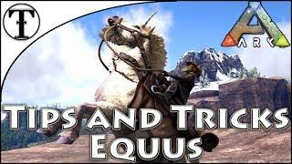 Fast Unicorn and Equus(Horse) Taming Guide :: Ark : Survival Evolved Tips and Tricks