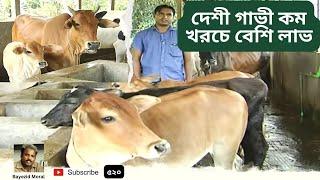 দেশী গাভী কম খরচে বেশি লাভ | Deshi Cow farm | Bayezid Moral