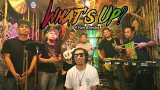 What’s Up - 4 Non Blondes | Kuerdas Reggae Version