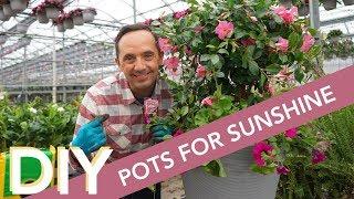 DIY Pot for Sunshine | Frankie Flowers