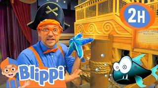 Blippi Visits a Children's Museum | 2 HOURS OF BLIPPI FULL EPISODES | Educational Videos for Kids