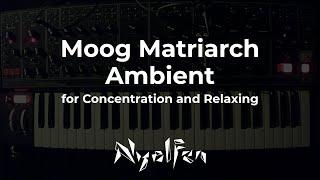 Moog Matriarch Generative Ambient for Concentration And Relaxing