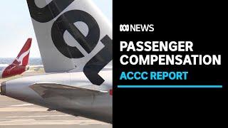 Calls to force airlines to compensate travellers for cancelled or delayed flights | ABC News