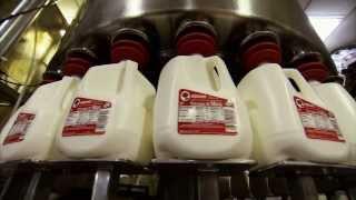 Dairy Special - America's Heartland: Episode 912